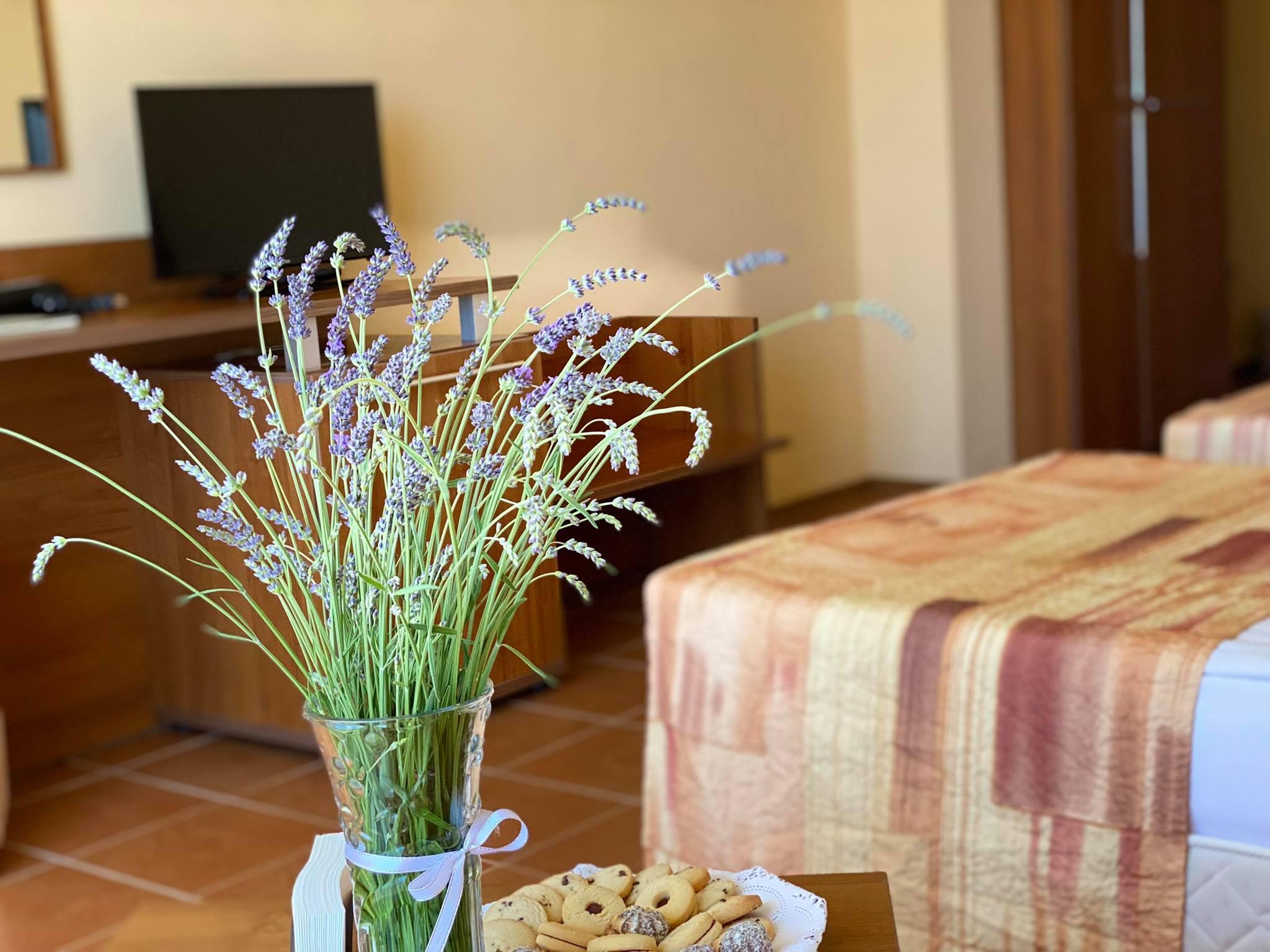 Hotel Plamena Palace Primorsko Ngoại thất bức ảnh